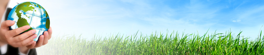 Random header image... Refresh for more!